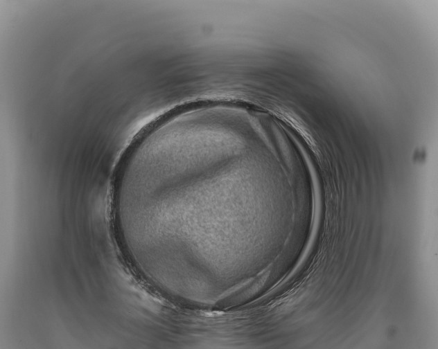 X0000090720724200707271152