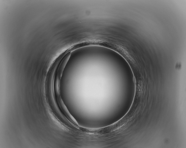 X0000090720726200707271152