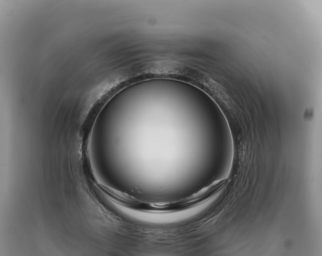 X0000090720727200707271152