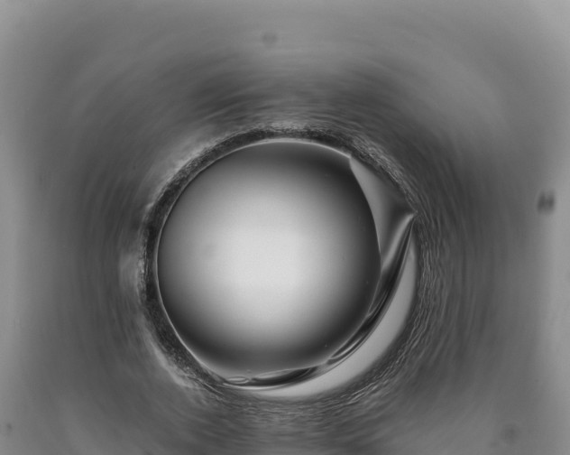 X0000090720728200707271152
