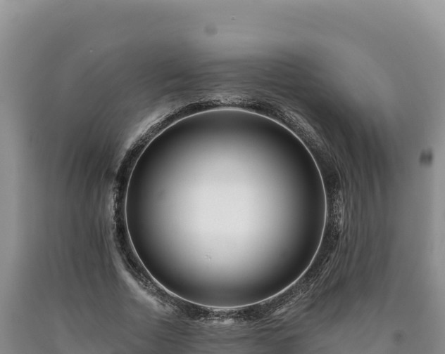 X0000090720730200707271152