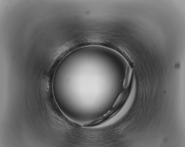 X0000090720731200707271152