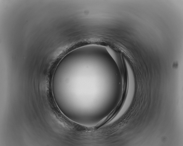 X0000090720732200707271152