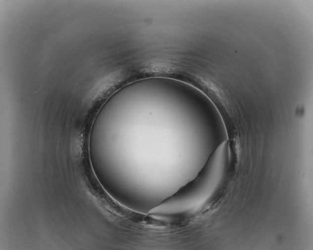 X0000090720735200707271152