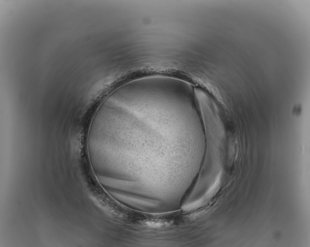 X0000090720736200707271152