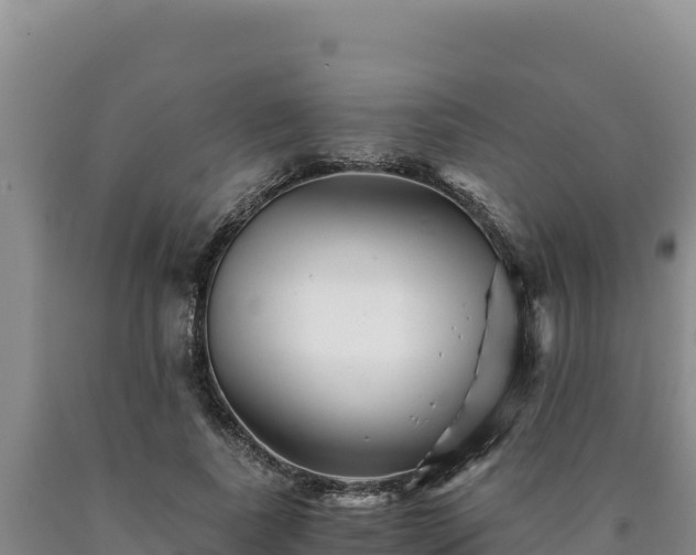 X0000090720739200707271152