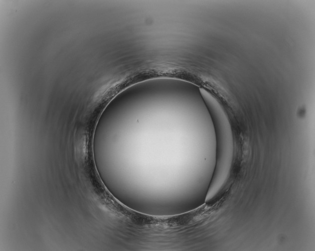 X0000090720740200707271152