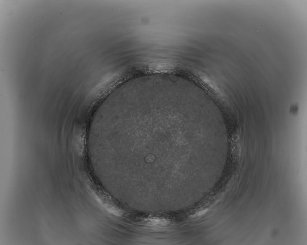 X0000090720741200707271152