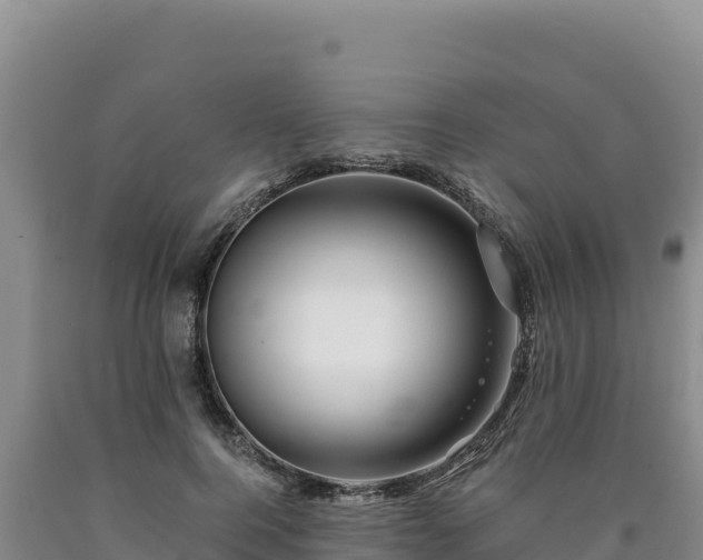 X0000090720744200707271152