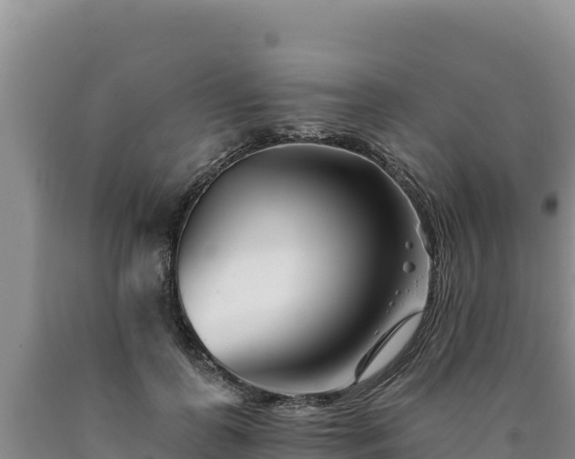 X0000090720747200707271152