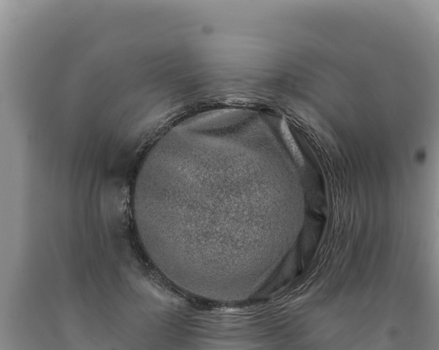 X0000090720748200707271152