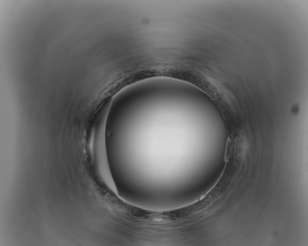 X0000090720750200707271152