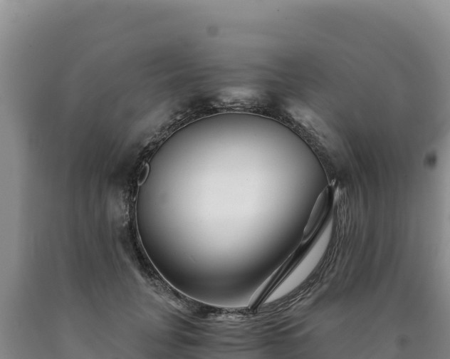 X0000090720751200707271152