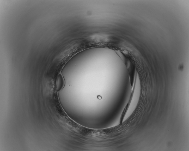 X0000090720752200707271152