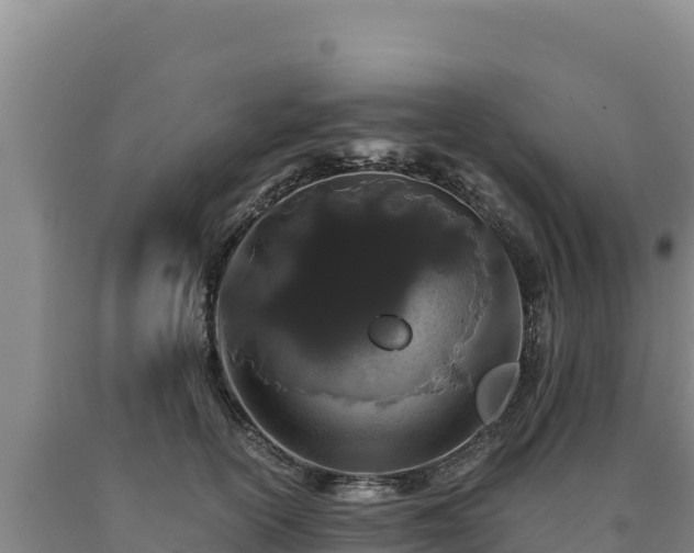 X0000090720754200707271152