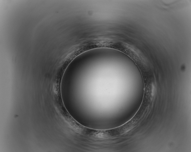 X0000090720755200707271152