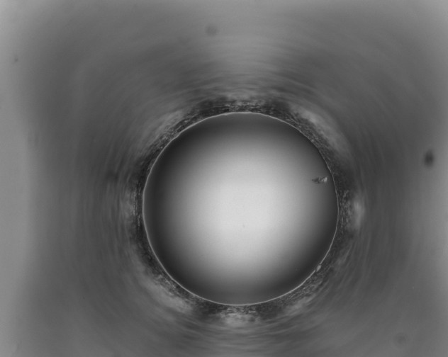 X0000090720756200707271152