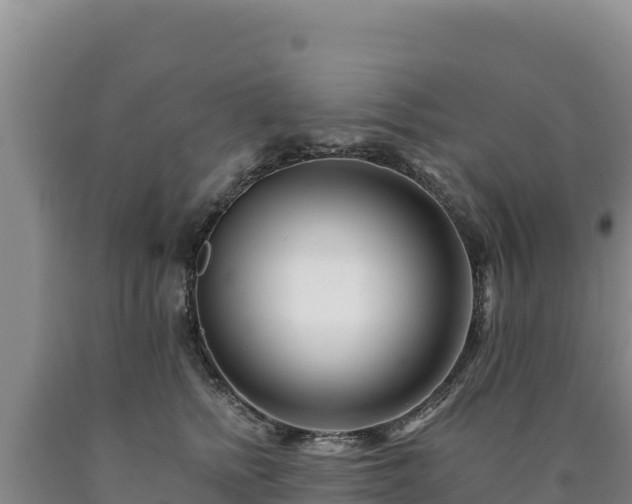 X0000090720758200707271152