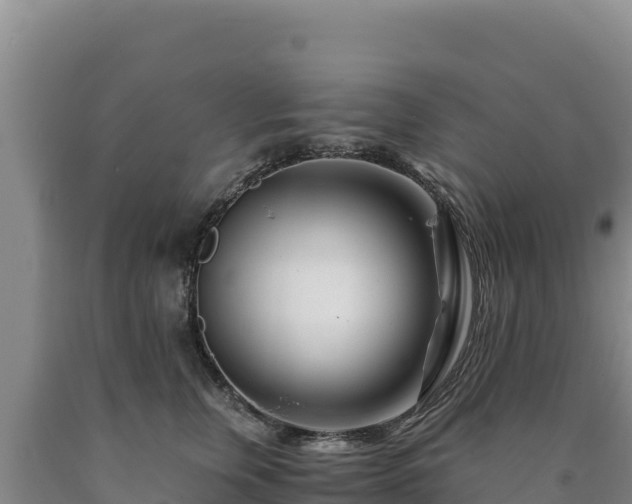 X0000090720759200707271152