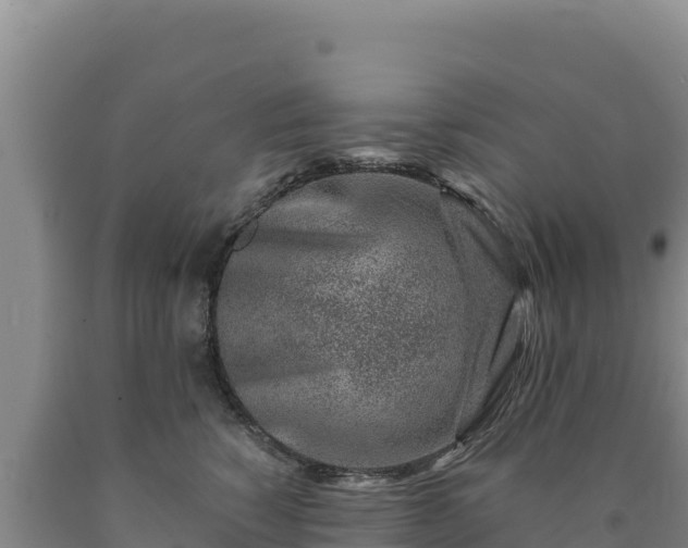 X0000090720760200707271152