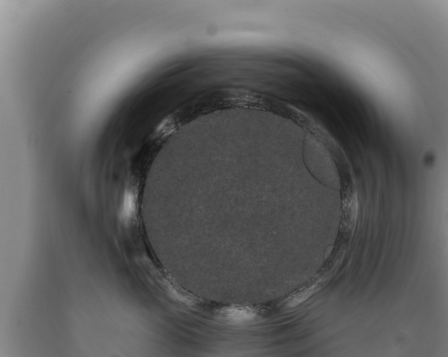 X0000090720765200707271152