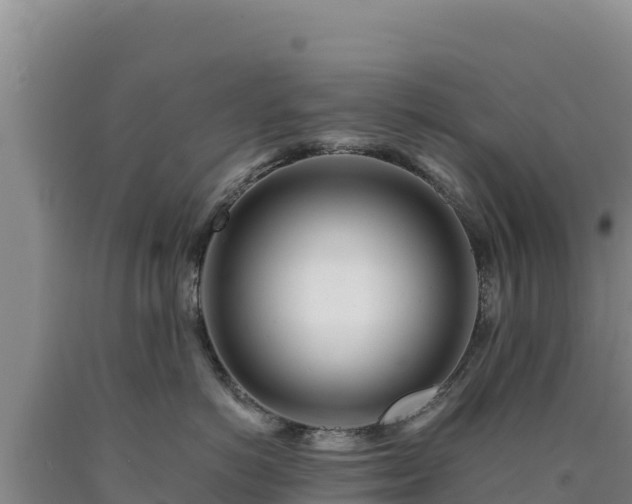 X0000090720766200707271152