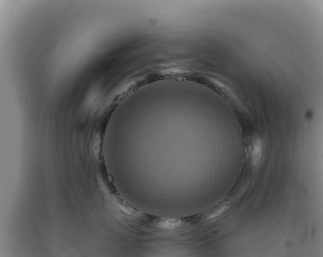 X0000090720767200707271152