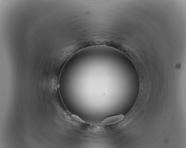 X0000090720768200707271152