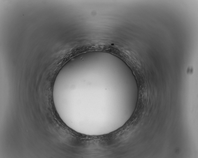 X0000090720769200707271152