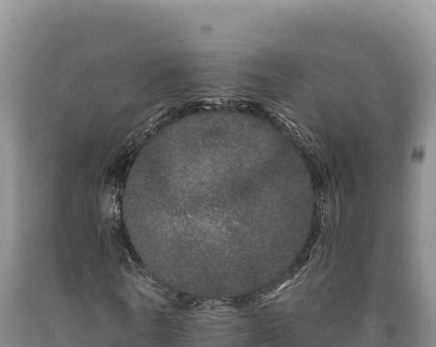 X0000090720770200707271152