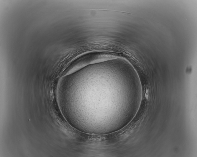 X0000090720771200707271152