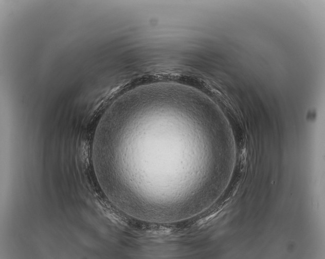 X0000090720772200707271152