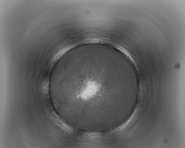 X0000090720778200707271152