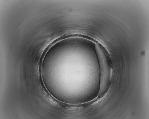 X0000090720782200707271151