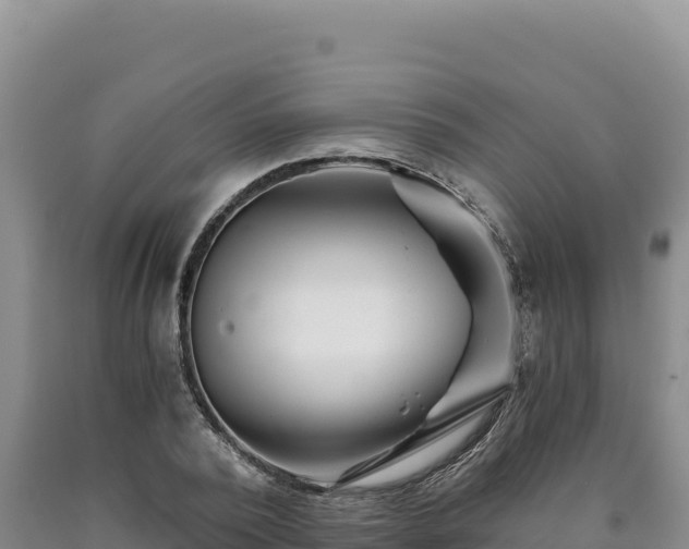 X0000090720784200707271151