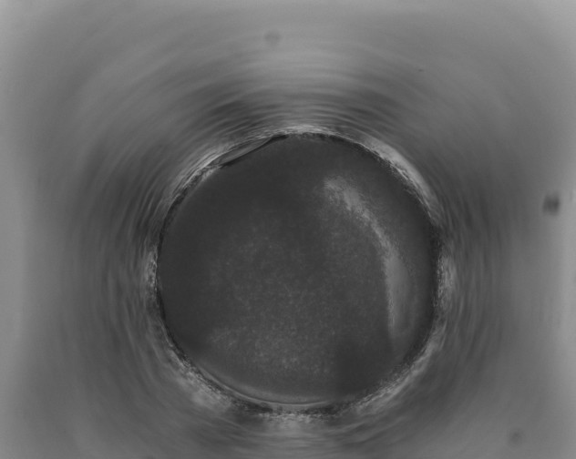 X0000090720785200707271151