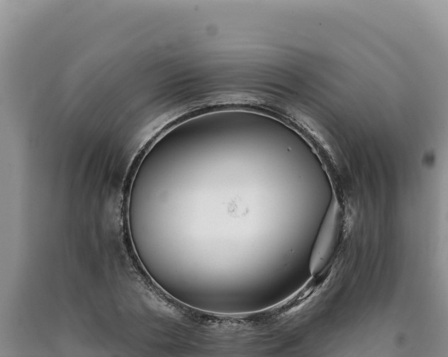 X0000090720786200707271151