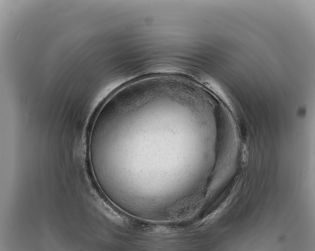 X0000090720787200707271151