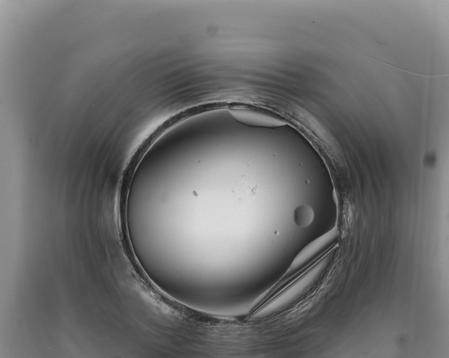 X0000090720788200707271151