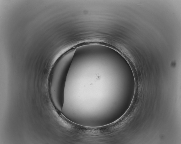 X0000090720789200707271151