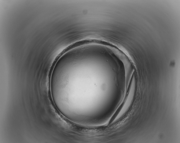 X0000090720791200707271151