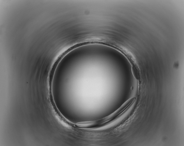 X0000090720792200707271151