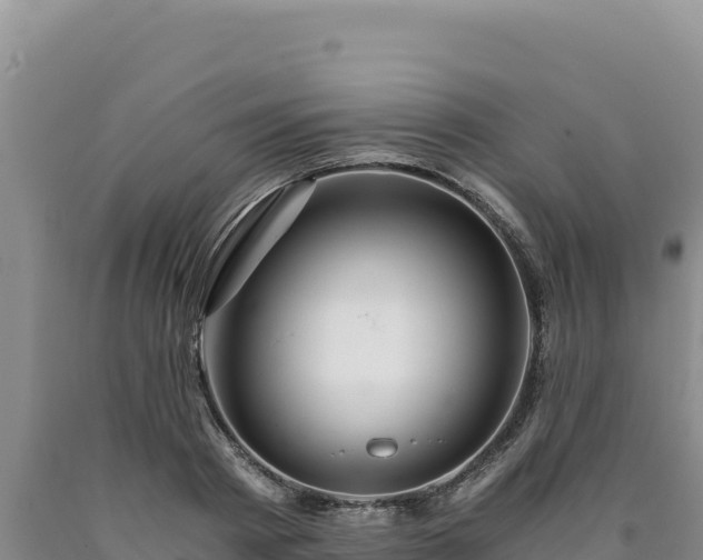 X0000090720793200707271151
