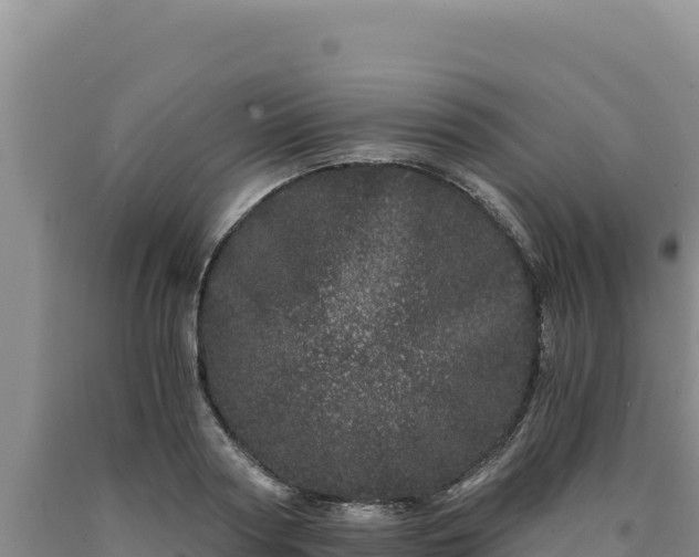 X0000090720794200707271151