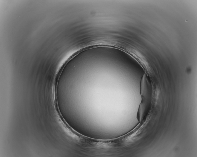 X0000090720796200707271151