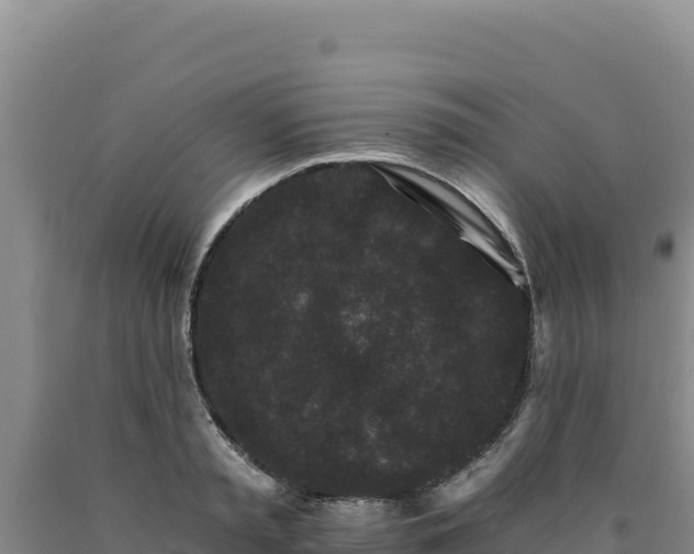 X0000090720797200707271151
