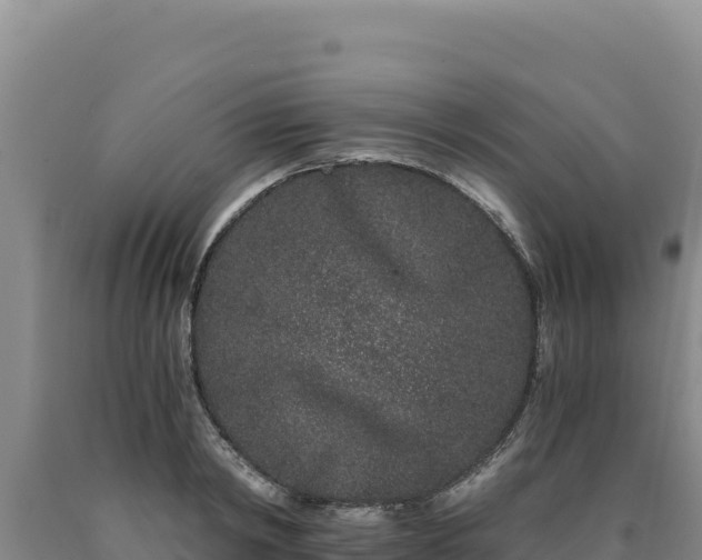 X0000090720798200707271151