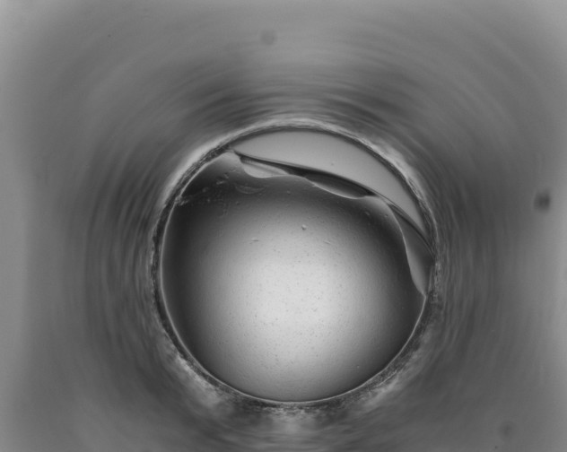X0000090720799200707271151