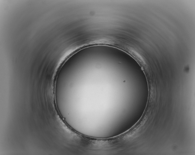 X0000090720800200707271151