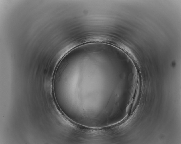 X0000090720802200707271151